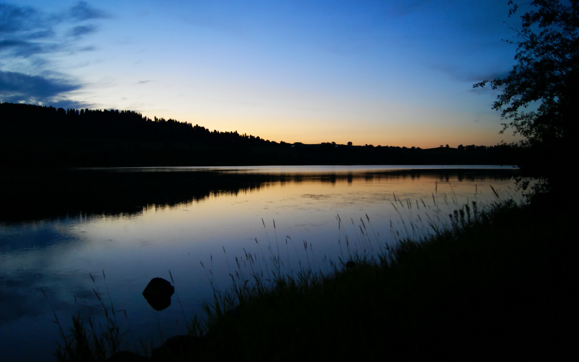 亚洲球队主帅谈未来发展规划，亚洲球队进步很大