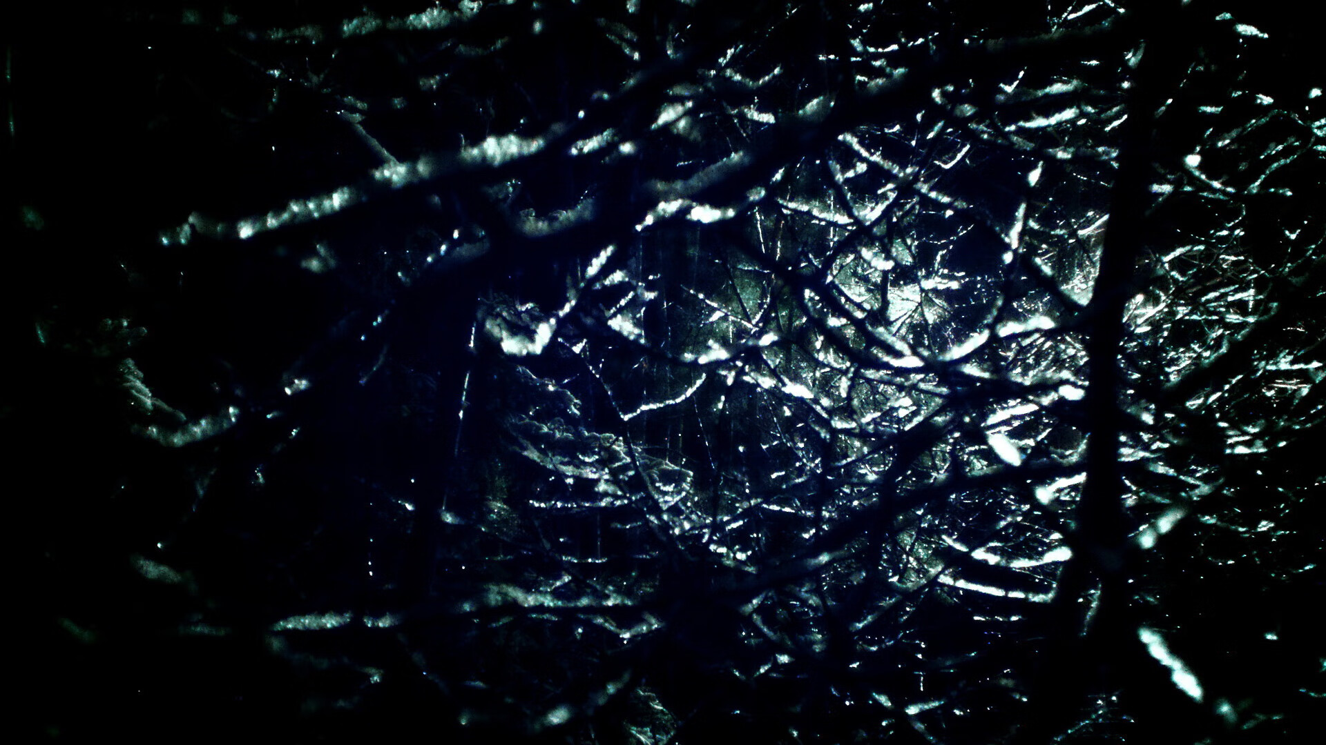 星空体育首页登录-斯图加特客场不败，稳固中游位置，斯图加特二队