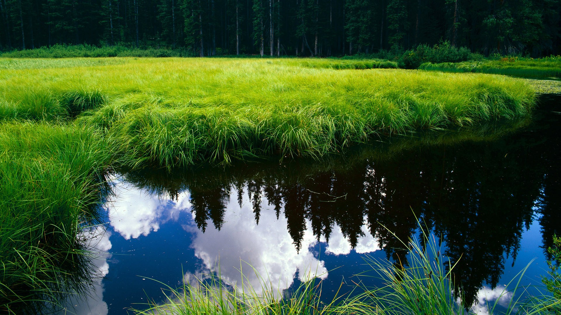 阿斯顿维拉中场控制力强,维拉公园再现辉煌,阿斯顿维拉队