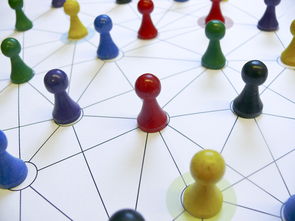 星空体育中国官网-国足换人策略与比分变化关系，国足换帅一说的准确性到目前依然无从核实