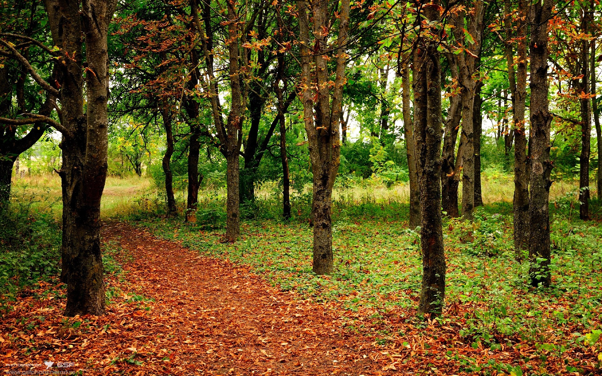 运动装备研发成果展示，全球运动装备创新设计大赛