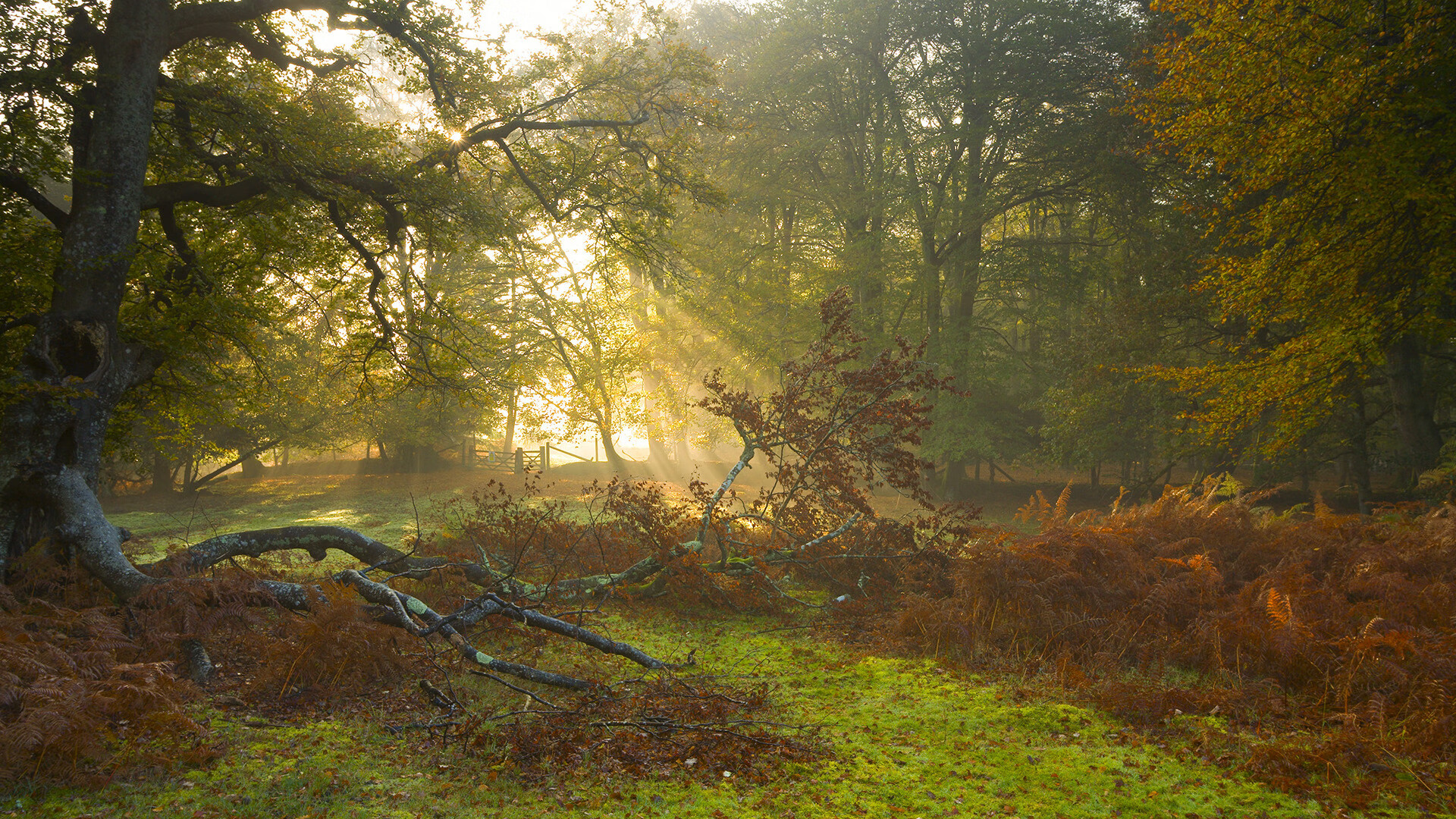 星空体育登录入口-外教战术理念传达效率不高，外教战术理念传达效率不高怎么办