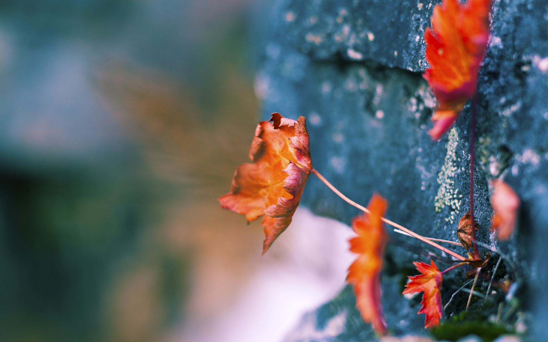 郭艾伦伤愈复出国家队信心大增,郭艾伦宣布