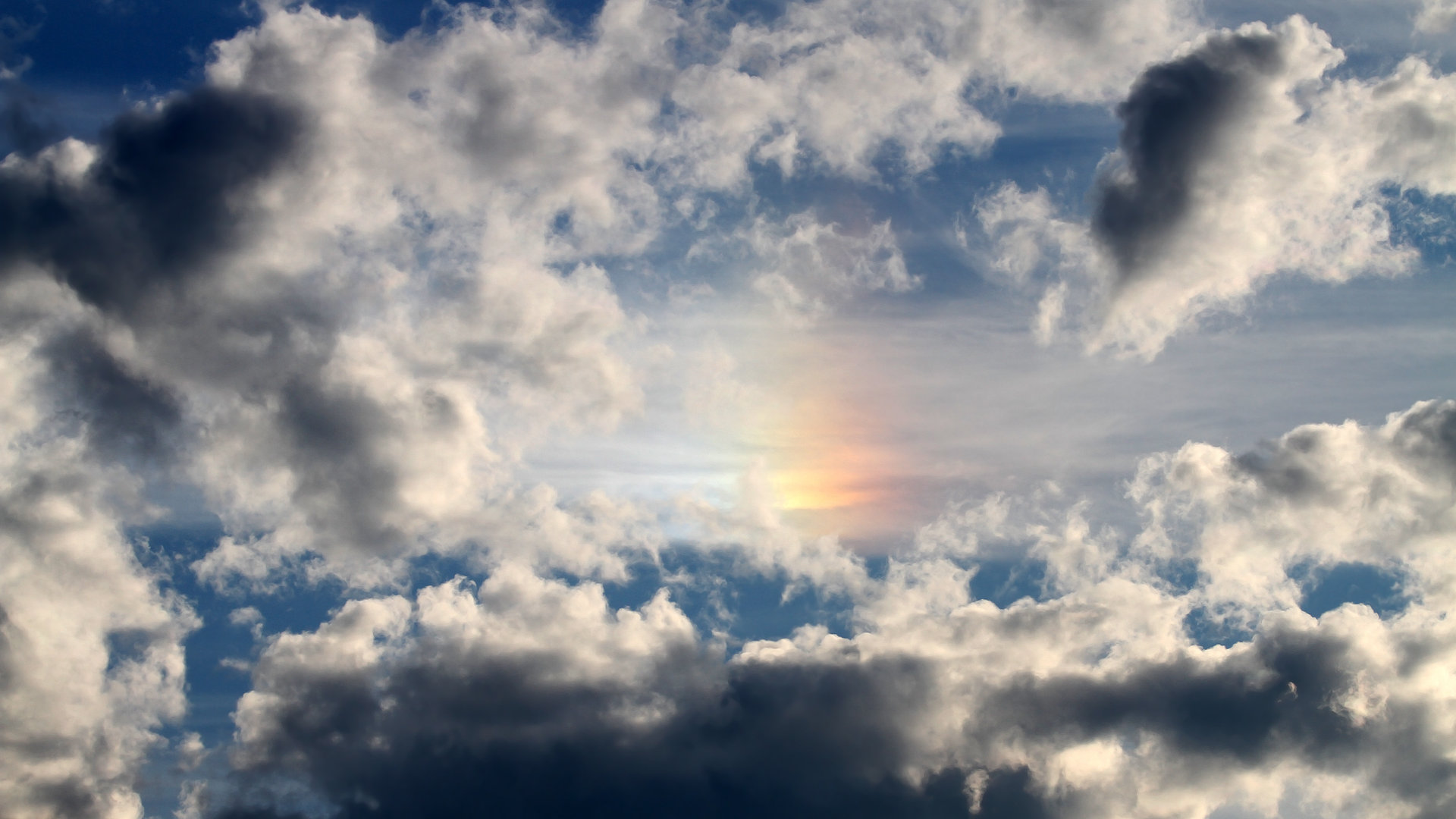 澳大利亚男子橄榄球队蓄势待发,澳大利亚女子橄榄球明星